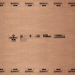 Century Ply Win MR (Plywood) - Image 2